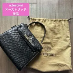 a.testoni Ostrich アテストーニ オーストリッチ　ハンドバッグのサムネイル