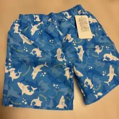 Item thumbnail for item 6dec07fc-b195-47de-bc2d-77e8b9cbfce6