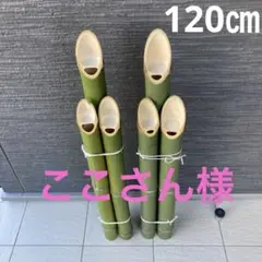 Item thumbnail for item 286751be-4f66-47bc-81a8-d1eabe86fa9c