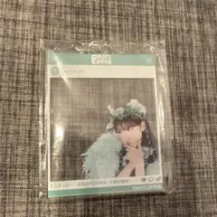 タスマニア様 リクエスト 3点 まとめ商品