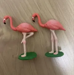 アニア　フラミンゴ