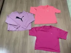 PUMA ピンク クロップドトップス
