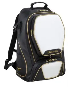 Item thumbnail for item 61ca23bf-5a41-437c-9645-d3c395a012e2