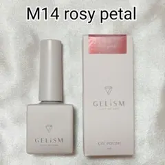 GELiSM ジェリズム ジェルポリッシュ M14 ロージーペタル マグネットのサムネイル