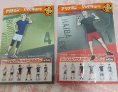 ハイキュー!! アリナミン アクリルキーホルダー 2種セット