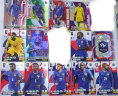Panini adrenalyn xl フランス代表 14枚セット