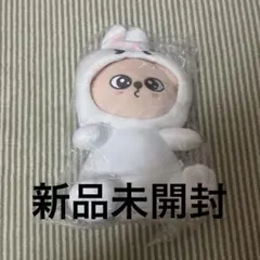 2026年最新】STRAYKIDS skzoo 抱きぬいぐるみの人気アイテム - メルカリ