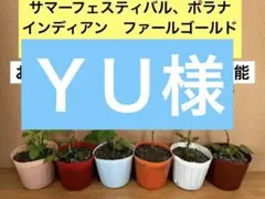 2026年最新】グレンアンプルの人気アイテム - メルカリ