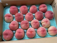 ケンオキ専用 大玉1kg クール便 - メルカリ