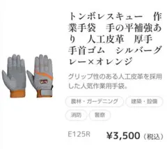 Item thumbnail for item 6522ac5d-dbd9-48e3-bf3f-3de9ab393d89