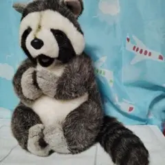 ファースト社　アライグマ　ぬいぐるみ　WOODY CHAPMAN　レア ファースト社 アライグマ ぬいぐるみ WOODY CHAPMAN レア