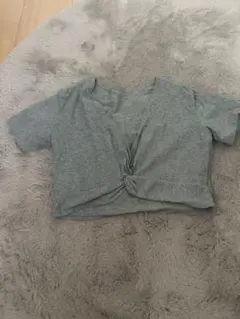 amabile グレー クロップドTシャツ