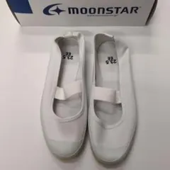 Item thumbnail for item f2c325e6-a620-4e75-bf1f-fd26726ff1d7