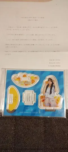 新品未開封】 乃木恋 大越ひなの アクリルスタンド - メルカリ