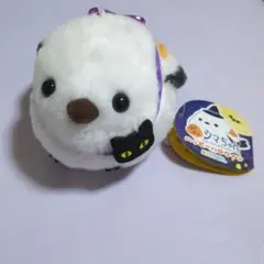 ふくふくシマちゃんハッピーハロウィン　マスコット