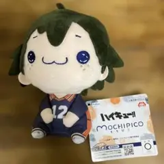 ハイキュー!! もちぴこぬいぐるみ3 山口忠