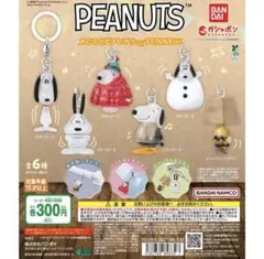 未開封★匿名配送★PEANUTS チャーリー・ブラウン めじるし