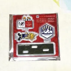 ルヴァンカップ 記念グッズ