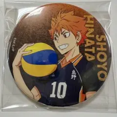 ハイキュー ゴミ捨て場の決戦展 缶バッジ 翔陽