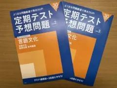 【期間限定値下】 高1定期テスト予想問題 言語文化 vol.2 & vol.3