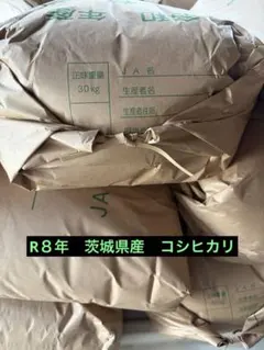 新米コシヒカリ20kg茨城県産◉玄米 - メルカリ