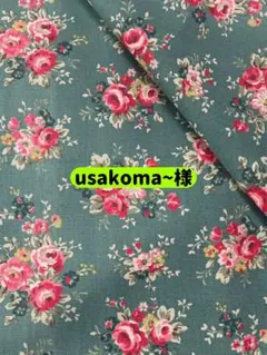 22♬【1m】❣️ラスト❣️キャスキッドソン・デニム生地