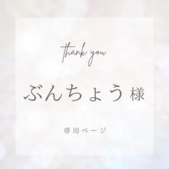 【　ぶんちょう様専用　】ご購入ページ
