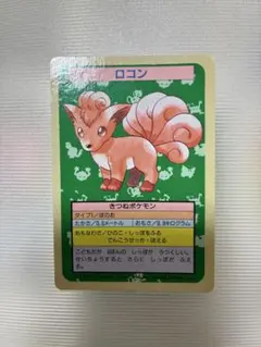 トップサン ポケモンカード ロコン 037 裏青