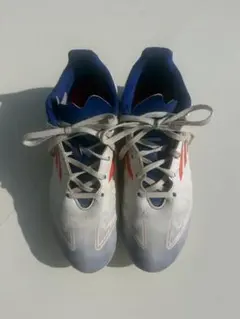 Item thumbnail for item c31749bc-944c-4925-af7a-e4ce7b1866ba