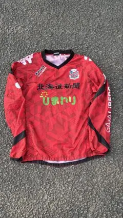 レノファ山口FC トレーニングウェア - メルカリ