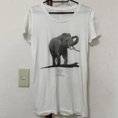 【IENA】象 Tシャツ