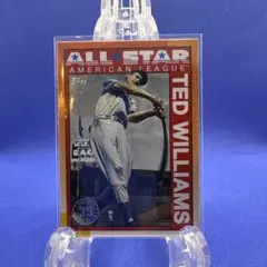 希少！1967年11月製造　シアーズ 476.70200 テッド ウィリアムズ 2025年最新】テッドウィリアムズの人気アイテム - メルカリ