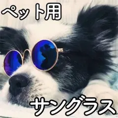 Item thumbnail for item 68c20a5a-0b58-43f3-928b-4f3b968caec2