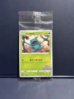 フシギダネ　ウインディ　ゲッコウガ　イラストコンテスト　プロモカード