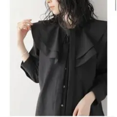 ジャーナルスタンダード　ボウタイブラウス　アダムエロペ、シップス、イエナ