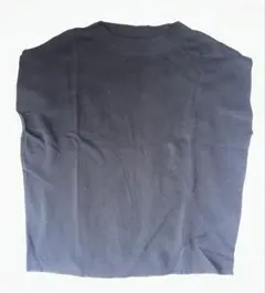 Te chichi 黒 ノースリーブ トップス フリーサイズ