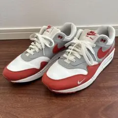 NIKE AIR MAX 1 スニーカー DH4059-102のサムネイル