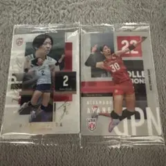 バレーボール女子日本代表 荒木彩花 北窓絢音 カード2枚セット