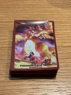 ポケモンカード チャンピオンズリーグ2018 東京限定 ホウオウ デッキ