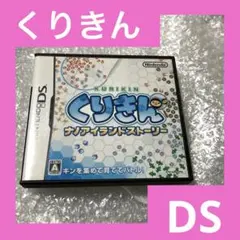 「激安」くりきん ナノアイランドストーリー　DS