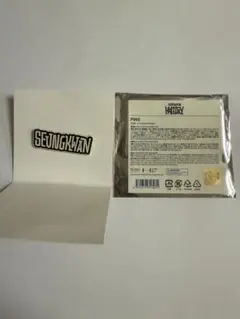 SEVENTEEN HOLIDAY スングァン ピンズ