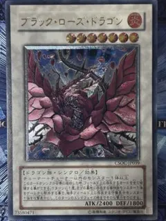 2026年最新】遊戯王 ブラックローズドラゴン レリーフの人気アイテム