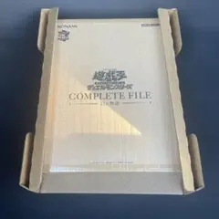 絶版新品未開封 ラストクロニクル 聖歴の覇者 1BOX - メルカリ