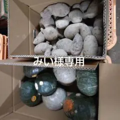 みい様オーダー商品