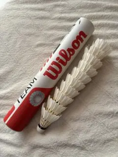 Item thumbnail for item 42a76ad9-40c5-424d-8d23-77099bce97df