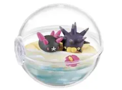 リーメント　ポケモン　テラリウムコレクション　ナマコブシ&バチンウニ
