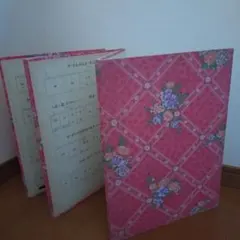 Item thumbnail for item 7382ac37-5b7f-40cc-aa32-c75ca8b58680