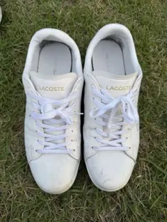 LACOSTE スニーカーのサムネイル