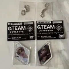 &TEAM アクリルチャーム 2種セットのサムネイル