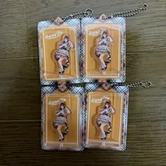 ランダムブリスターキーホルダー